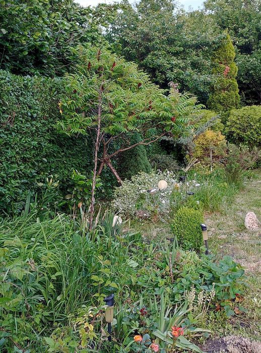 Продава се Къща в с. Алдомировци, Област София-област - 40 кв.м за 1875 €/кв.м - Снимка #14