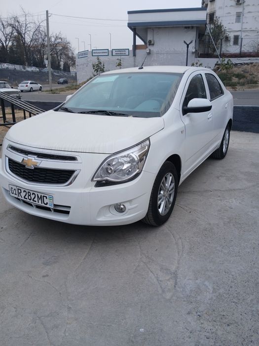 Haxt arenda 2025 kobilt masla tayor.