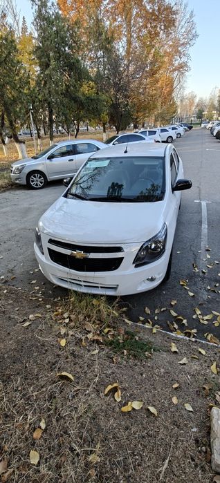 Cobalt midnight MCM 2026