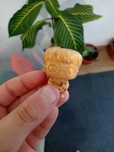 Golden hery poter