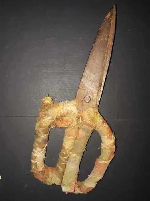 Veche foarfeca din anii 60 folosita in zootehnie