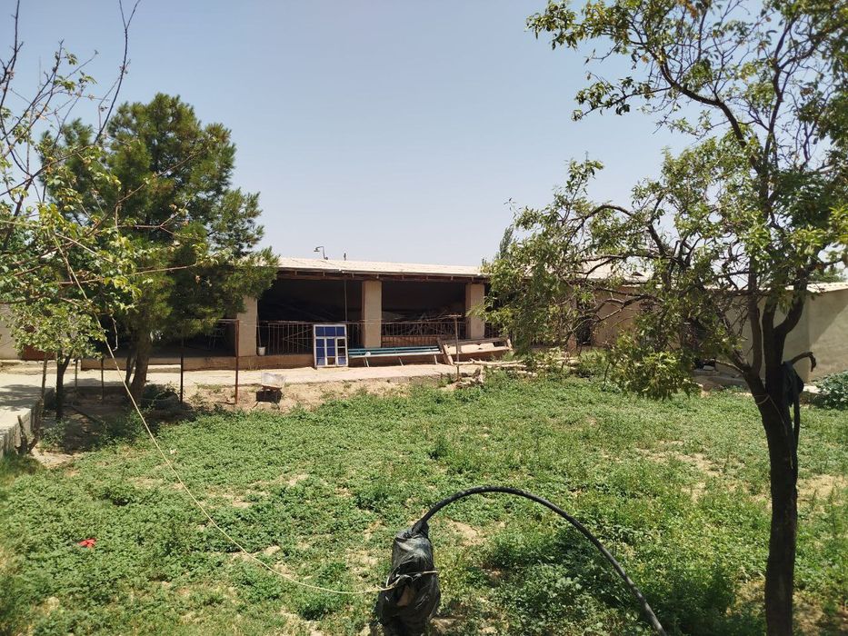 12 суткли ховли сотилади