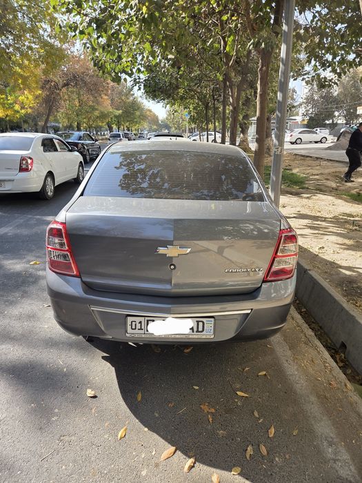 Koblt toza ozimiki 4 aftamat