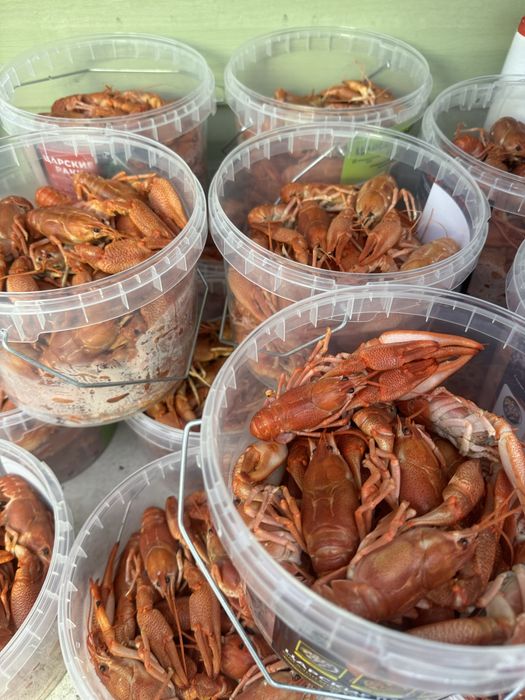 Деликатесы для вашего стола! Раки, креветки, крабы, мидии и др.