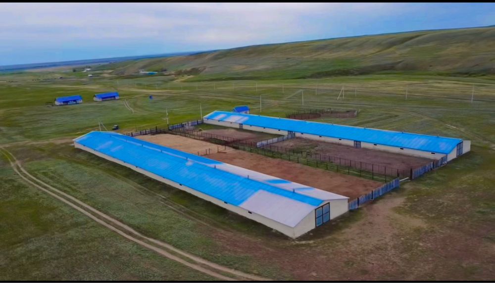 Продам Крестянское Хозяйство