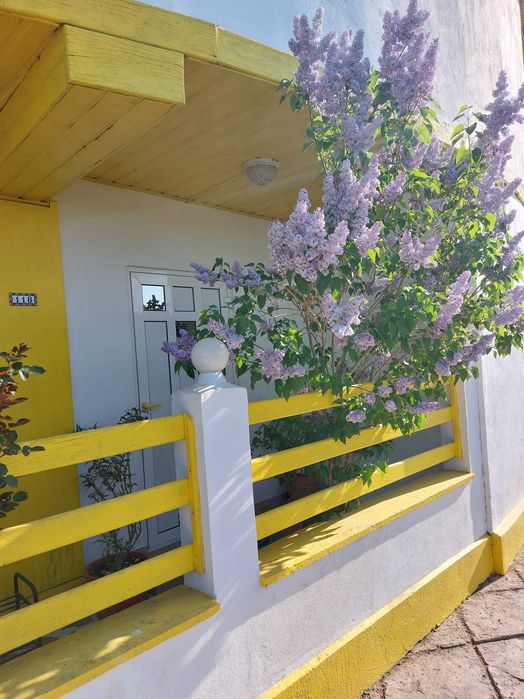 Vila cu ponton la lacul Snagov