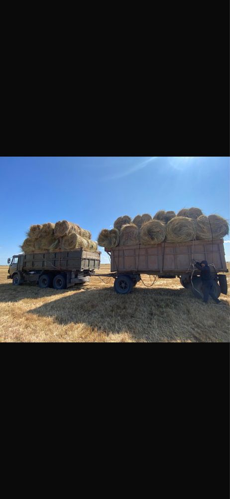 Шөп, сено, тюк, рулон сатамын. Жеткізу. Доставка.