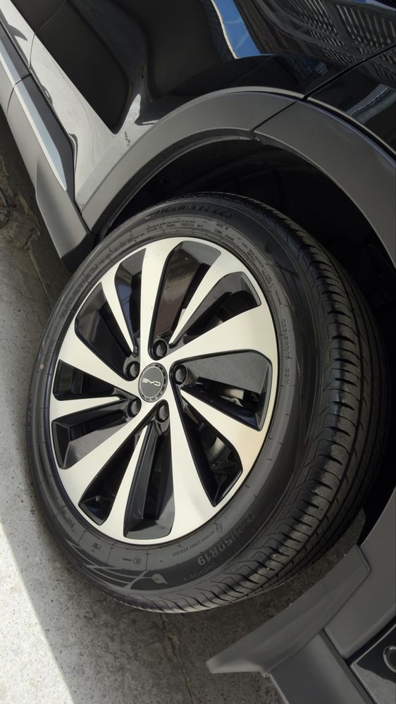 BYD Song Plus Chempion Full 605