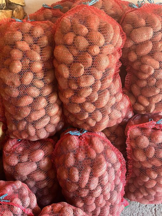 Cartofi Albi Mari (Pentru Consum)