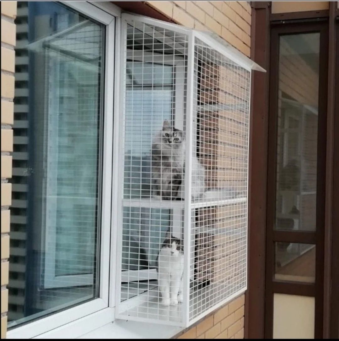 Балкон для выгула кошек