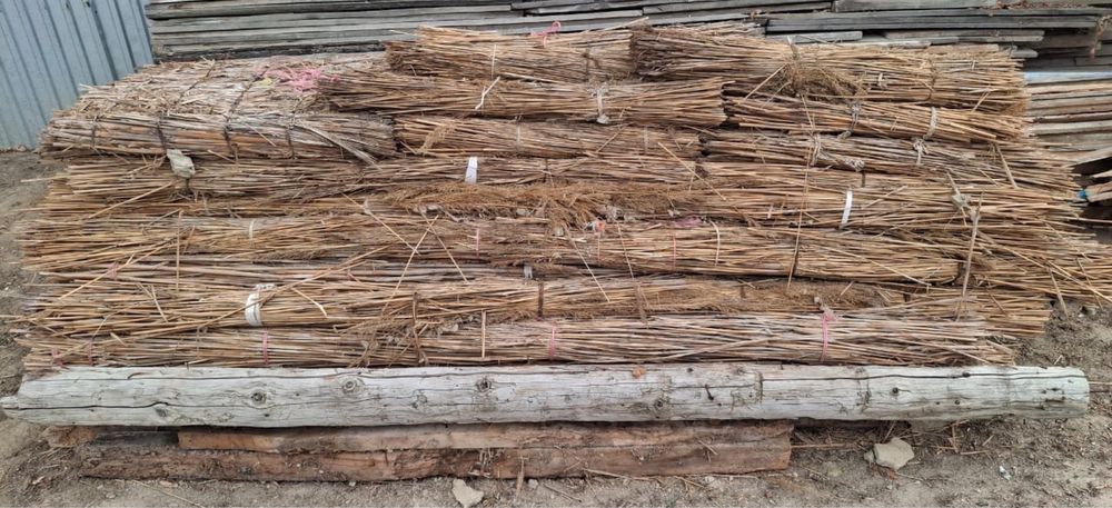 Бу ағаштар, тегін