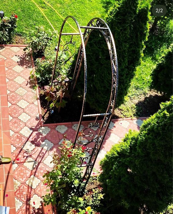 Pergola trandafiri