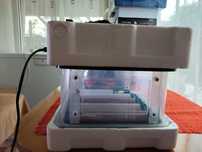 Incubator full automatic intelligent cu capacitate de 9-15 ouă