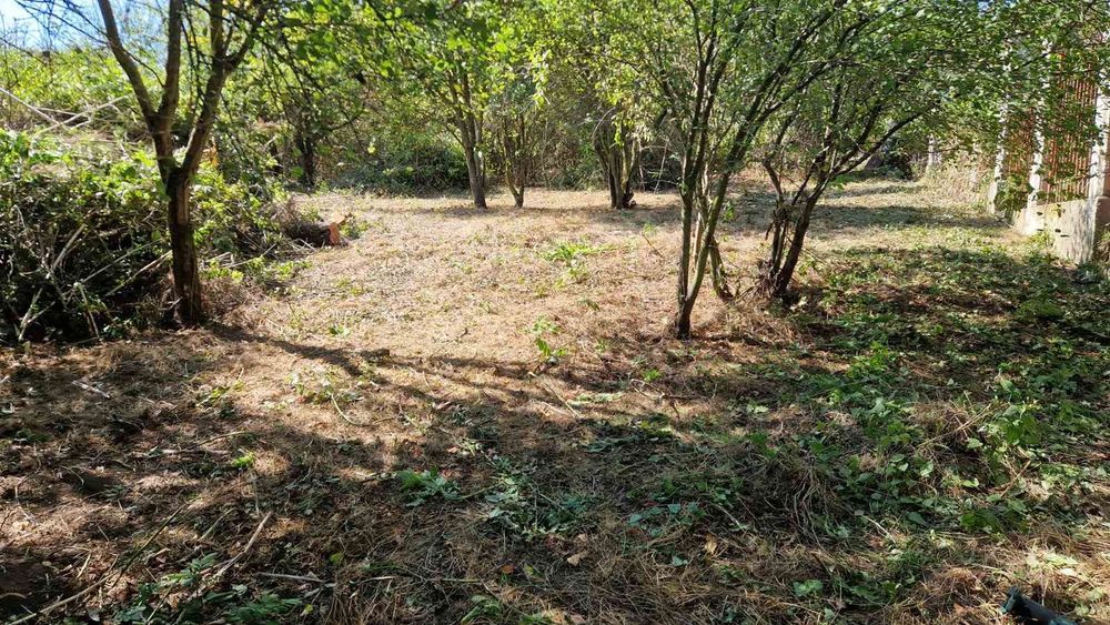 Продавам парцел в село Староселец, Варненска област
