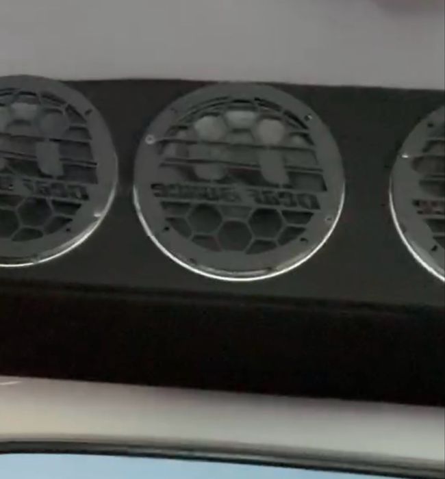 Deaf bonce arnold 16sm