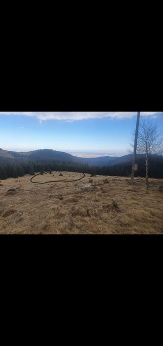 Teren de vânzare pentru cabană Păltiniș Sibiu