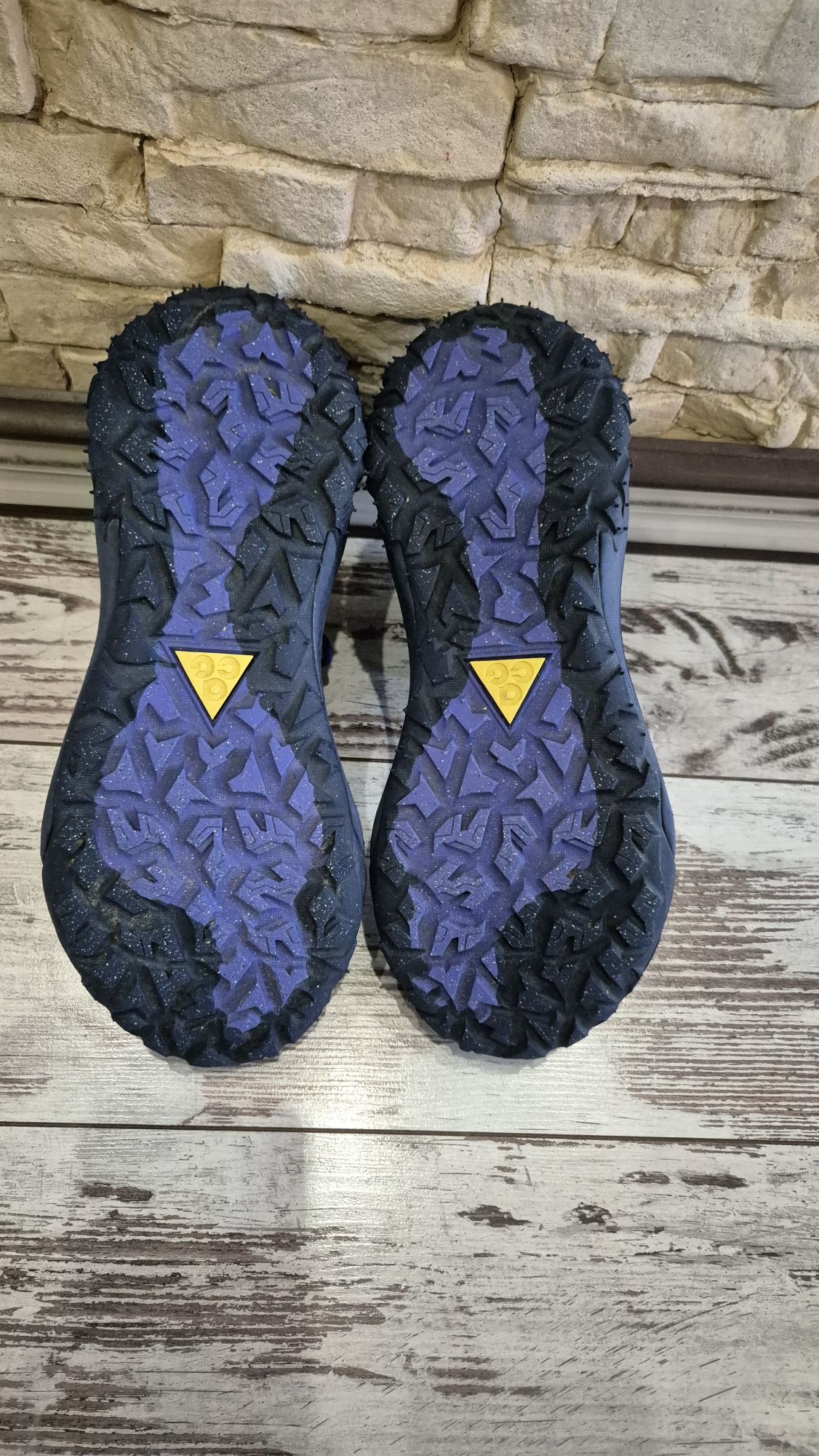 Маратонки Nike Mountain Fly 2 low GTX