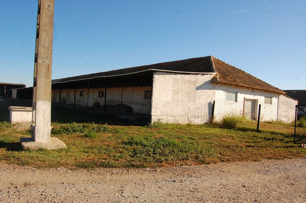 Proprietar vand-inchiriez