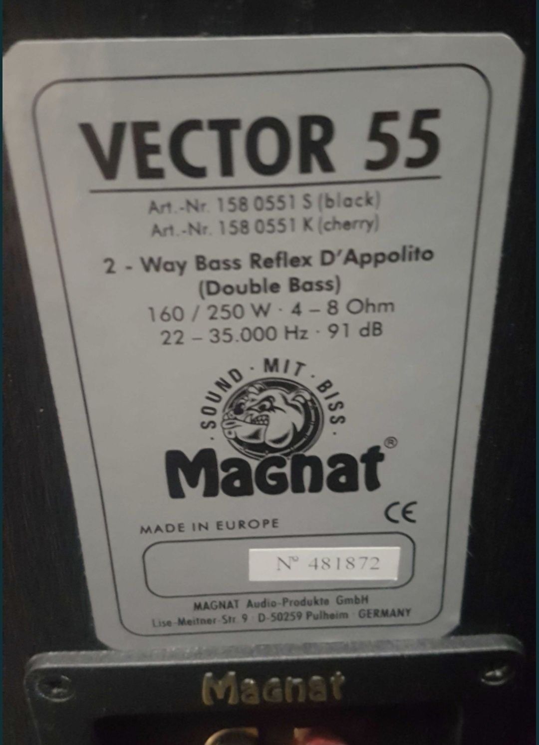 Boxe Magnat Vector 55 160/250w