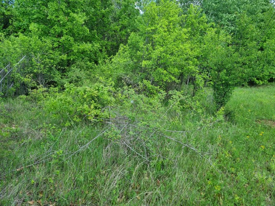 Defrișări Terenuri Agricole