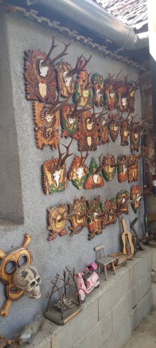 Vând troofee de vânătoare