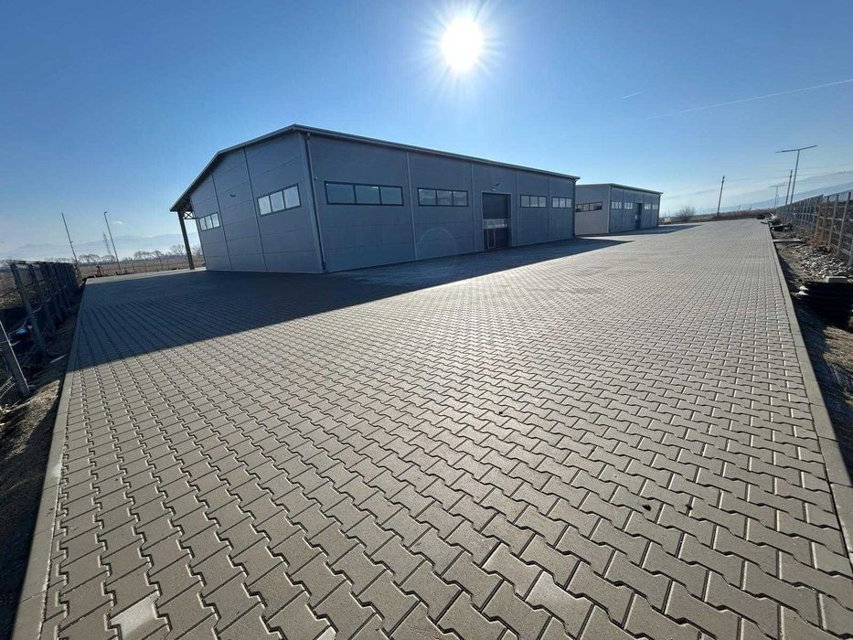 Hale + curte de inchiriat