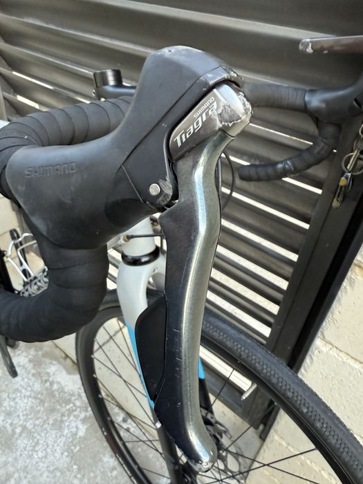 Genesis Equilibrium - otel/carbon