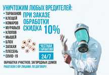 Dezenfeksiya ДЕЗИНФЕКЦИЯ от Клопов Тараканов Мухи Камари Грызунов 24/7