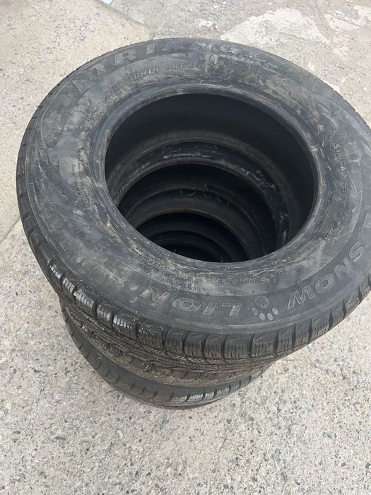 Шины зимние Triangle