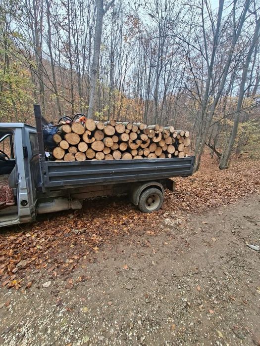 Vând lemn de foc tei 350 lei mc