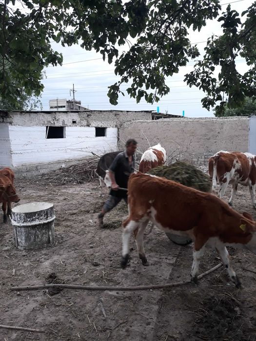 Продаётся участок в районе киргили .ФНПЗ