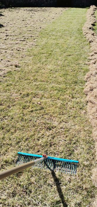 Почистване на дворове. Косене на трева, храсти, рязане на дървета.