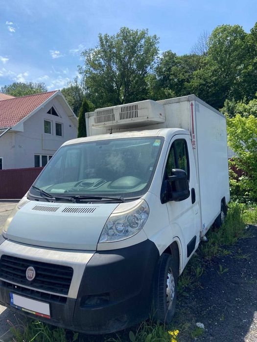 Autoutilitară frigorifică Fiat Ducato 250