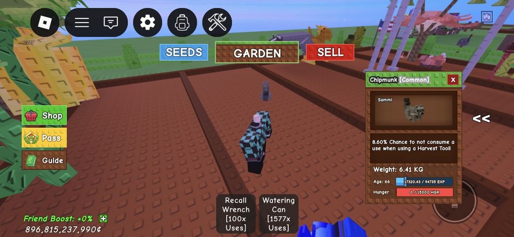 Продаю белку в гров а гарден сэмми