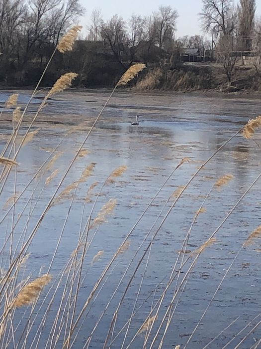 Продам зарыбленное озеро