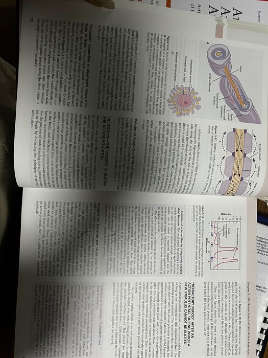 Guyton and hall textbook of medical physiology