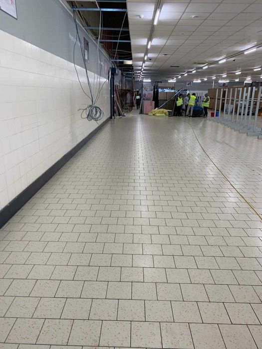 Firma, Servicii  Curatenie si igienizare