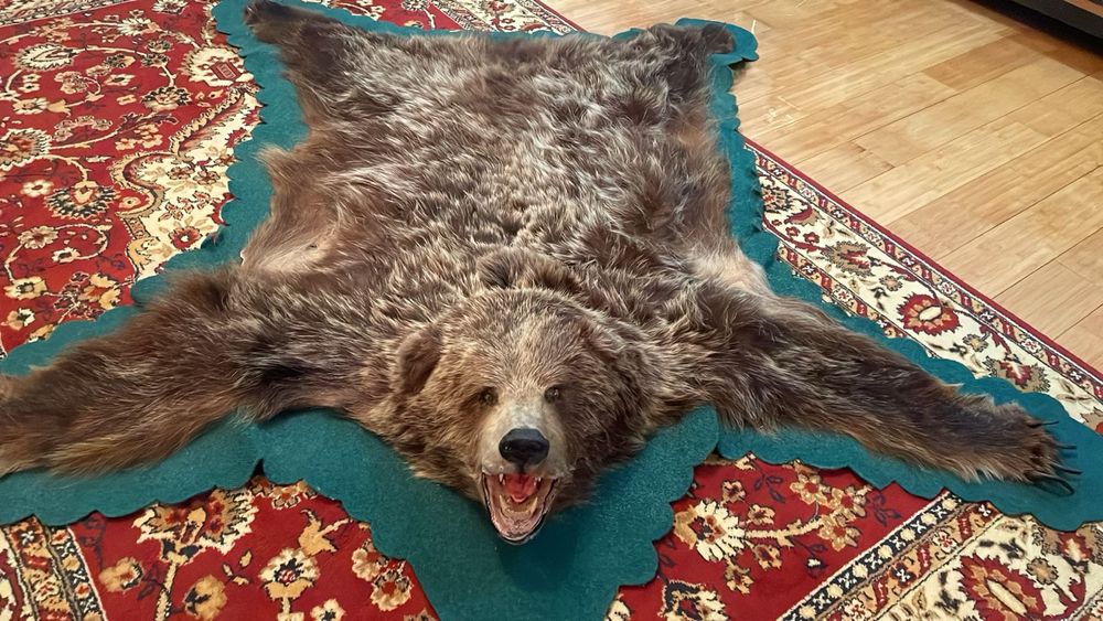 Чучело медведь продам