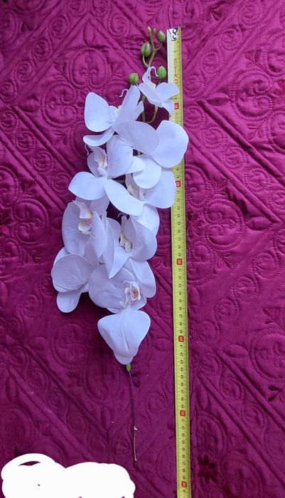 Vanzare suport arnjamente, aranjamente, paralelipiped