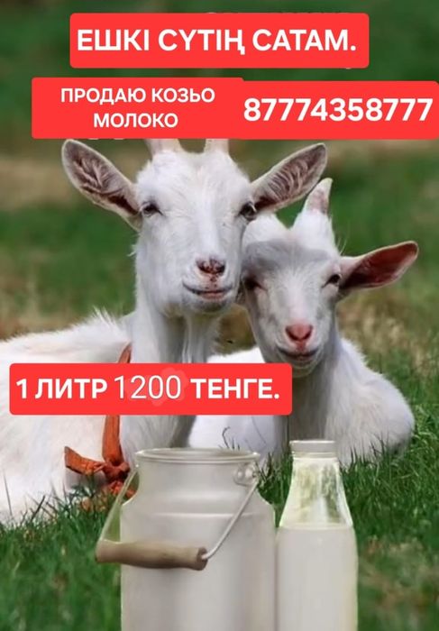 Ешки сути сатам 1 литр 1200т. Продам козьо молоко. Свободный выпаст .