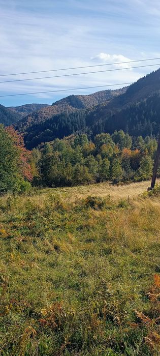 Продава се Земеделски имот в с. Сивино, Област Смолян -  кв.м за 1900 €/дка - Снимка #9