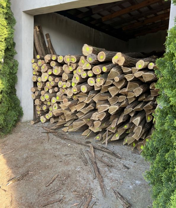 Stalpi de salcam pt gard sau terase rustice