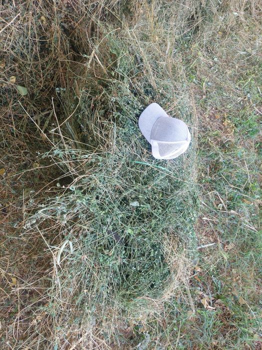 Beda bog' srochno sotiladi+BONUS!!!