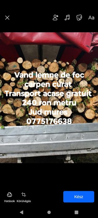 Lemne de foc carpen sí fag