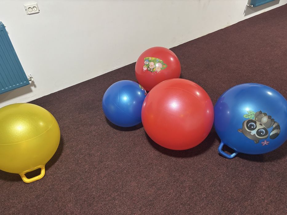 Mingie cu maner pentru sarit