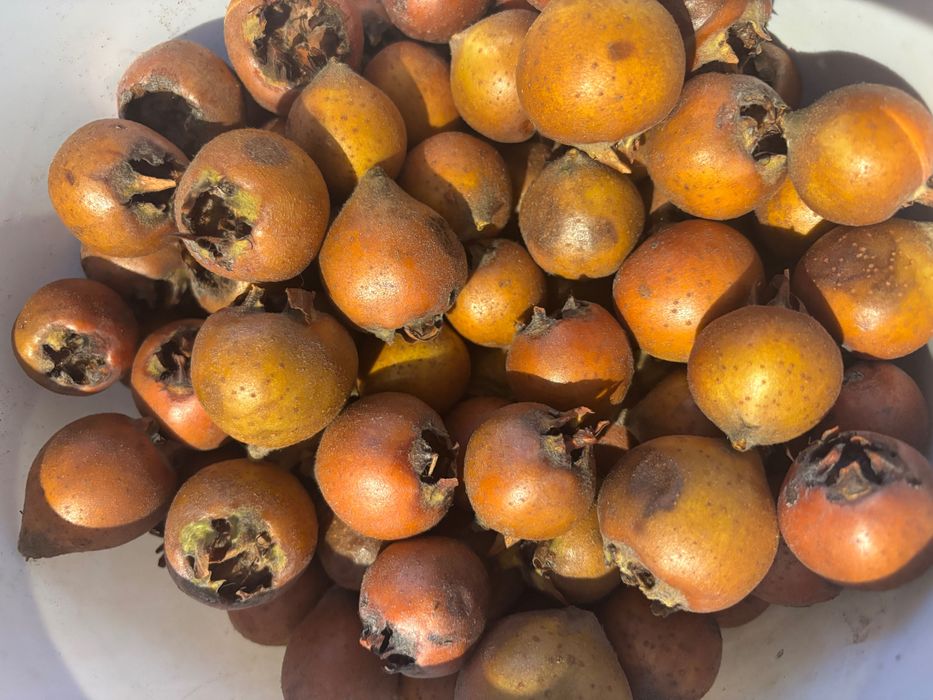 БИО Мушмули домашно производство