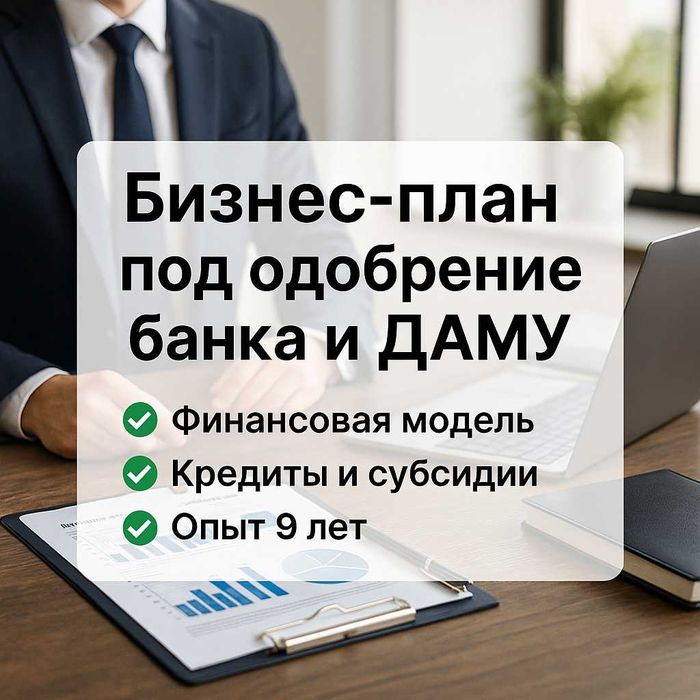 Бизнес-план под Даму + финансовая отчетность
