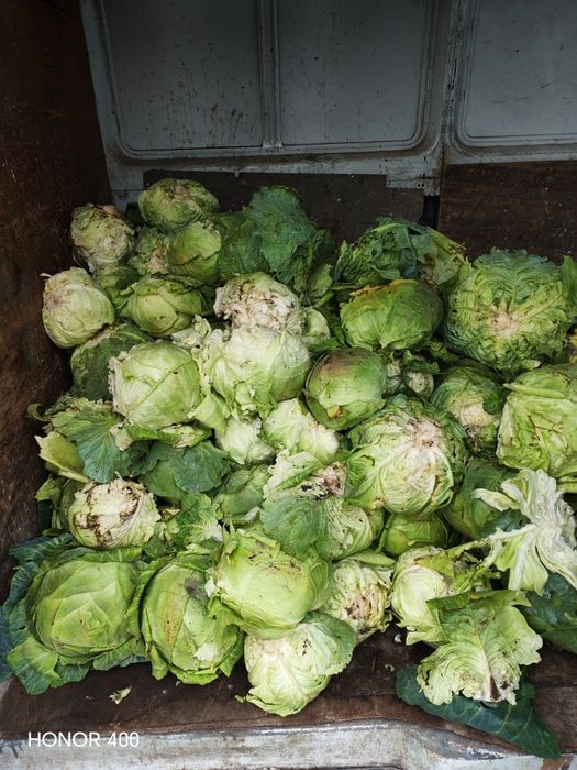 Продаван зеле Кьосе