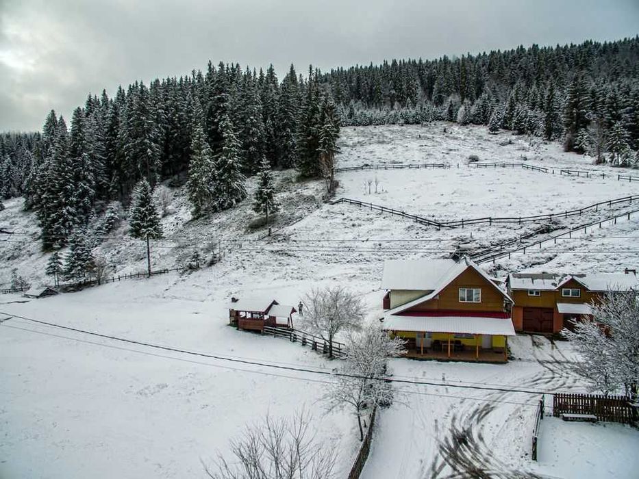 Inchiriez Cabana Carmen Arieseni