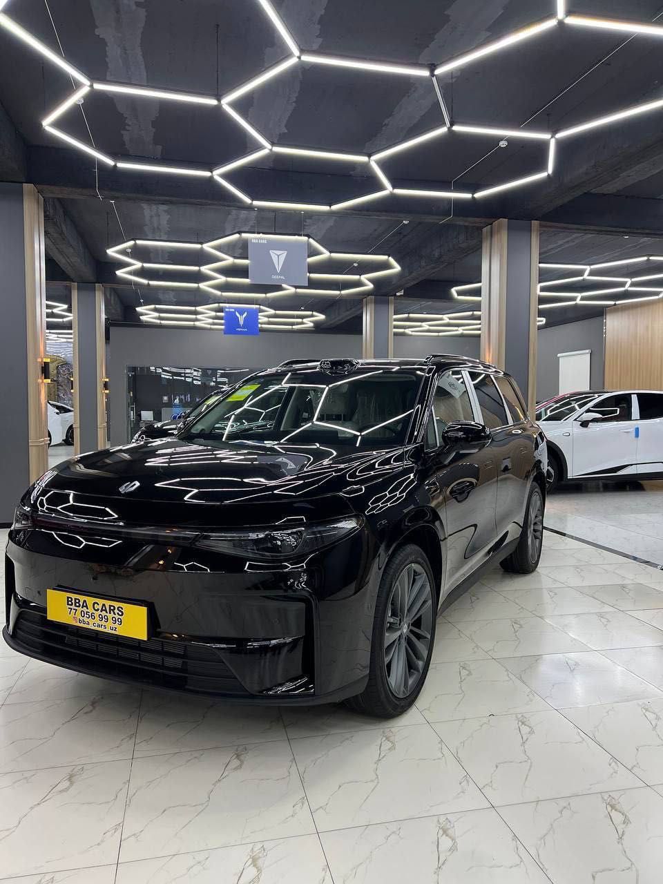 Leapmotors C16 full